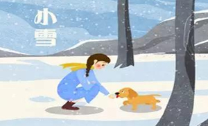 安氏亞森板材：小雪丨花開天下暖，葉落天下寒